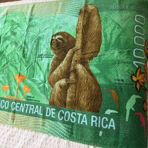 NWOT Costa Rica Sloth Beach Towel